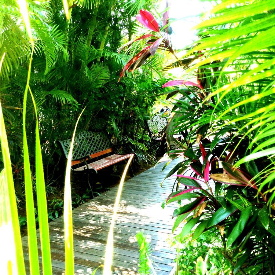 Hotel Les Bougainvilliers Сен-Жиль-ле-Бен Екстер'єр фото